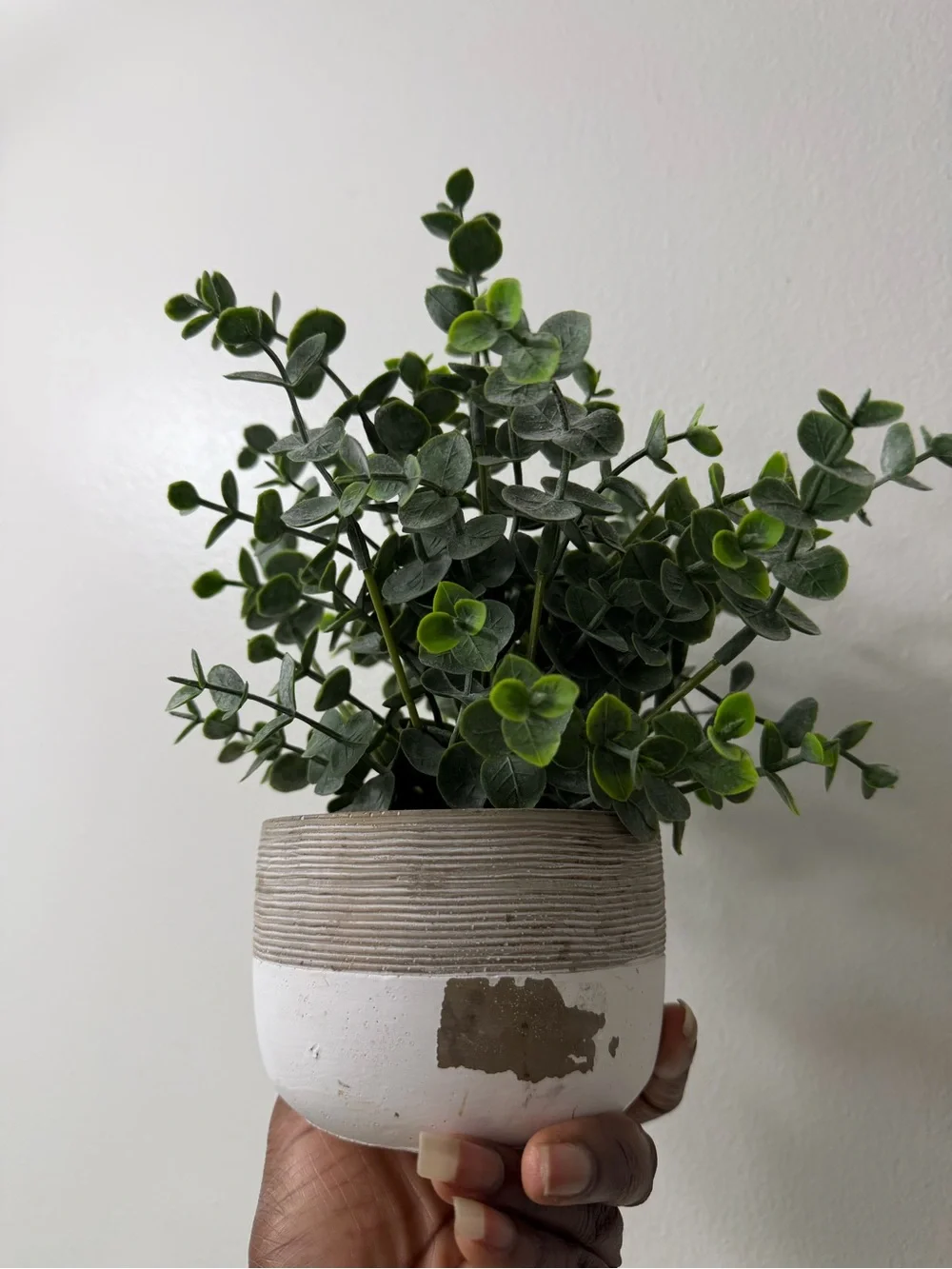 Marshalls Green Eucalyptus Faux Plant in Two-Tone Ceramic Pot